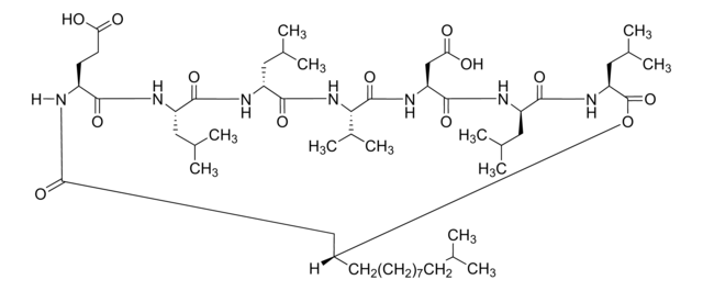 サーファクチン from Bacillus subtilis, &#8805;98.0% (HPLC)