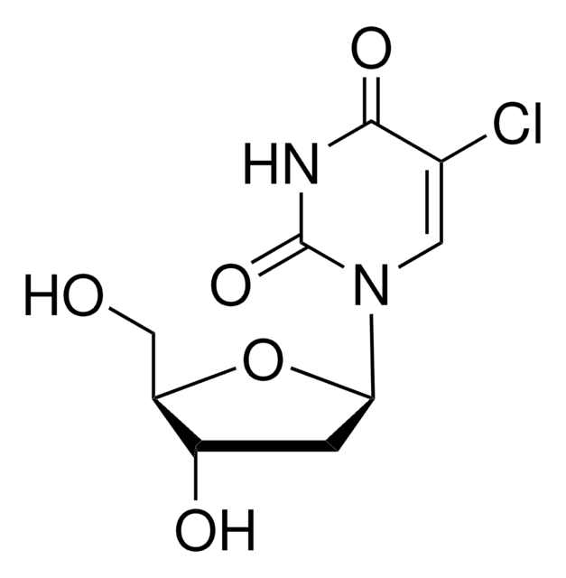 5-クロロ-2&#8242;-デオキシウリジン thymidine analog