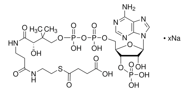 Succinyl-Coenzym A Natriumsalz &#8805;85%