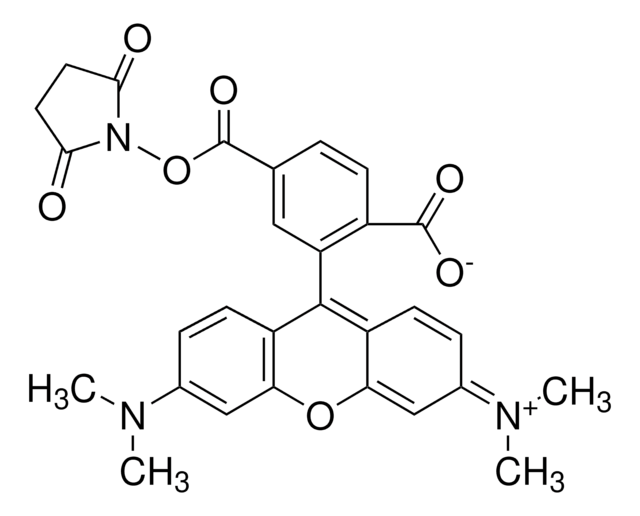 6-カルボキシ-テトラメチルローダミンN-スクシンイミジルエステル BioReagent, suitable for fluorescence