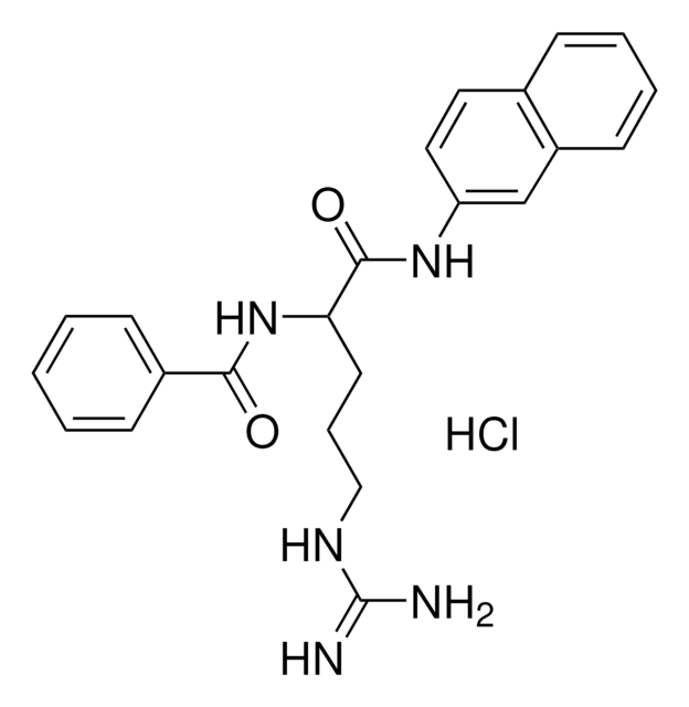 N&#945;-ベンゾイル-DL-アルギ二ン&#946;-ナフチルアミド 塩酸塩 trypsin substrate