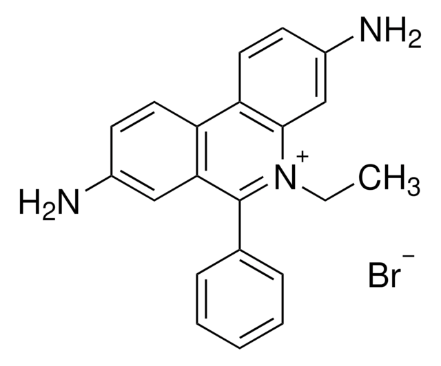 Ethidiumbromid -Lösung BioReagent, for molecular biology, 10&#160;mg/mL in H2O