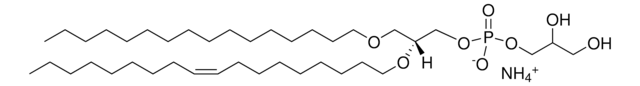 16:0-18:1 Diether PG Avanti Research&#8482; - A Croda Brand 999973P, powder