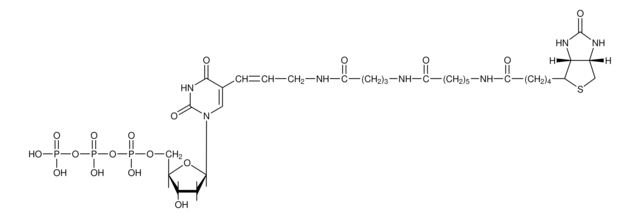 Biotyna-16-dUTP