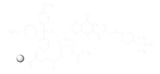 DMT-rG(tac)-CPG pore size 1000&#160;Å, 20-30 &#956;mol/g