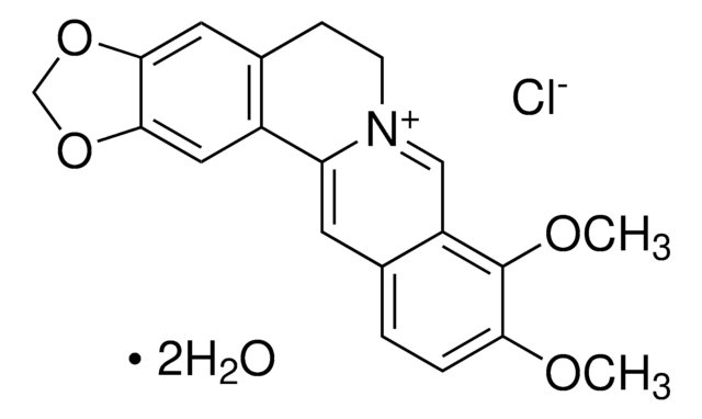 Berberine chloride European Pharmacopoeia (EP) Reference Standard