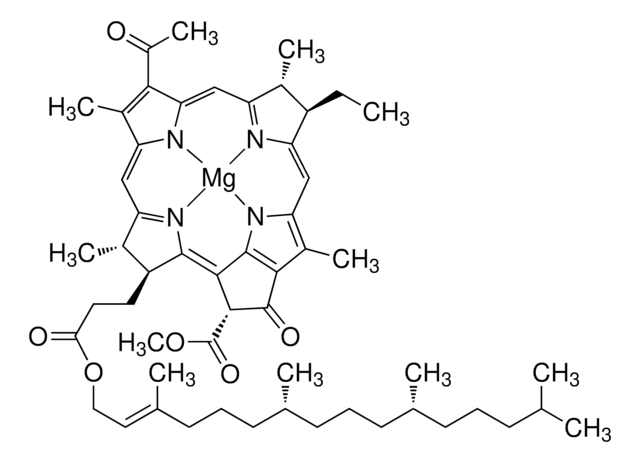 Bacteriochlorophyll from Rhodopseudomonas sphaeroides