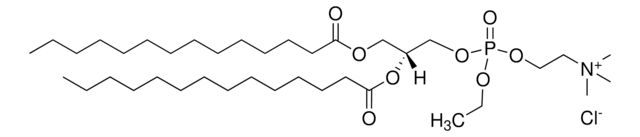 14:0 EPC (Cl Salt) Avanti Research&#8482; - A Croda Brand