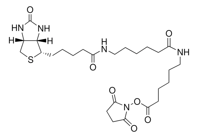 ビオチンアミドヘキサノイル-6-アミノヘキサン酸 N-ヒドロキシスクシンイミドエステル &#8805;95% (TLC), powder