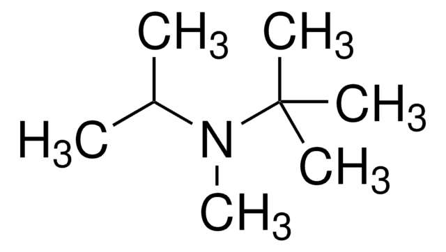 N-Isopropyl-N-methyl-tert-butylamine 98%