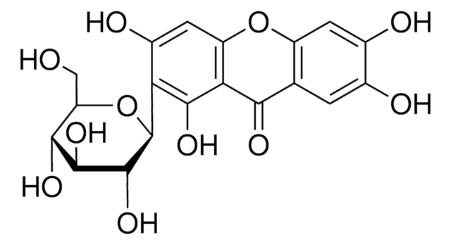 マンギフェリン Mangifera indica