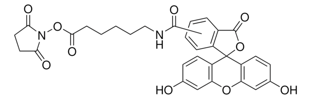 6-[Fluoreszein-5(6)-carboxamido]hexansäure-N-hydroxysuccinimidester suitable for fluorescence, &#8805;75% (HPLC)