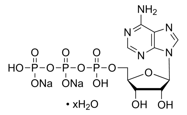 Adenosina 5&#8242;-trifosfato Grade I, &#8805;99%, from microbial