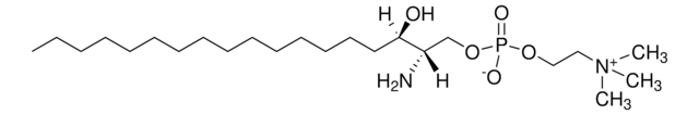 Lyso SM (dihydro) (d18:0) Avanti Research&#8482; - A Croda Brand, powder