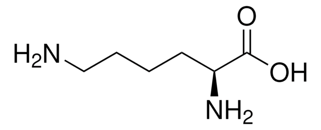 L-lisina &#8805;98% (TLC)