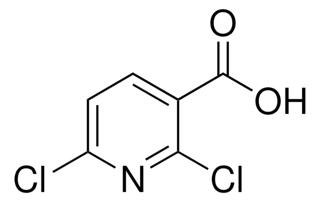 2,6-Dichlorpyridin-3-carbonsäure 97%