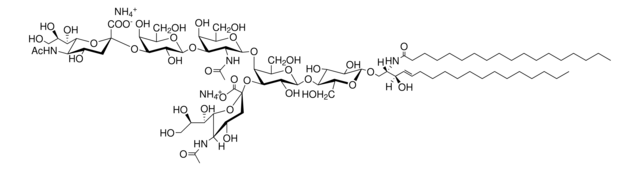 Ganglioside GD1a Avanti Research&#8482; - A Croda Brand 860055P, powder