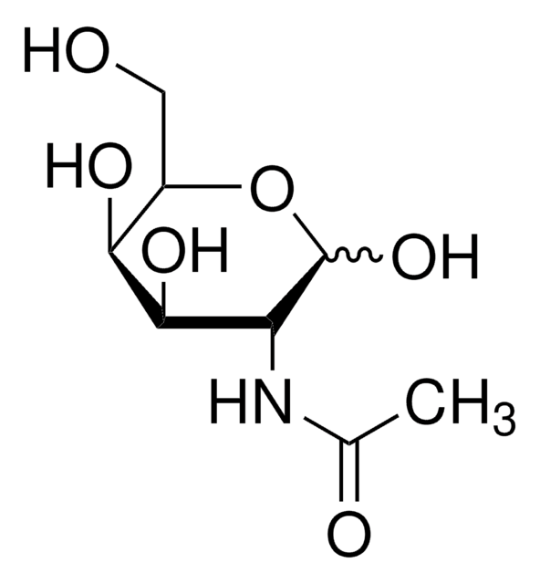 N-Acetil-D-galactosamina &#8805;98% (HPLC)