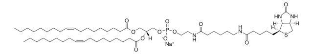 18:1 ビオチニルCap PE Avanti Polar Lipids 870273P, powder