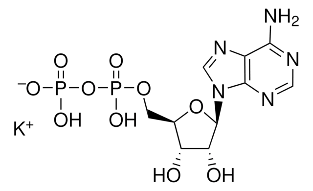 Adenosin-5&#8242;-diphosphat Monokaliumsalz Dihydrat bacterial, &#8805;95%, powder