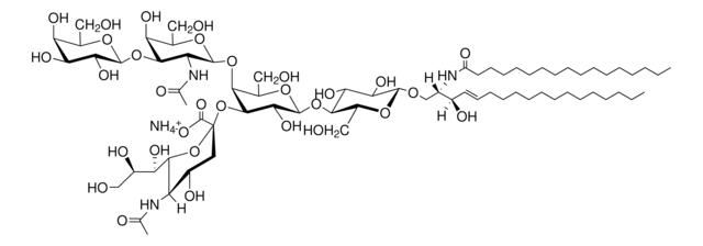 C17:0 GM1 (syntetyczny) Avanti Research&#8482; - A Croda Brand