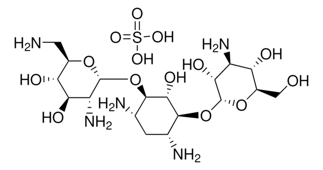 カナマイシン B 硫酸塩 aminoglycoside antibiotic