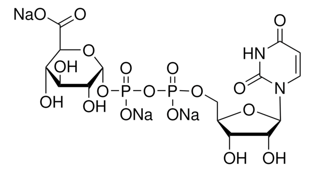 Ácido uridina 5&#8242;-difosfoglucurónico trisodium salt 98-100%