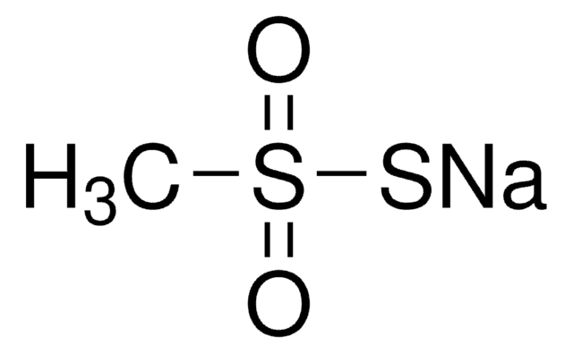 Natriummethanthiosulfonat 95%