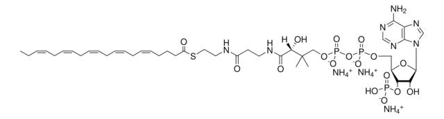 20:5 Coenzyme A Avanti Polar Lipids 870744P, powder