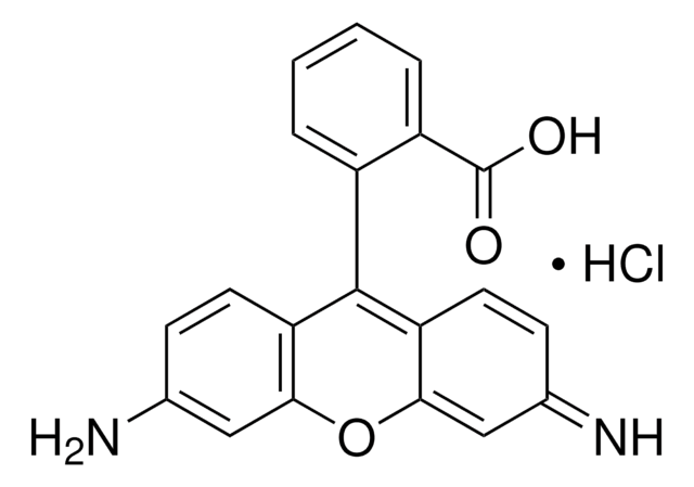 ローダミン 110 クロリド suitable for fluorescence, BioReagent, &#8805;99.0% (UV)