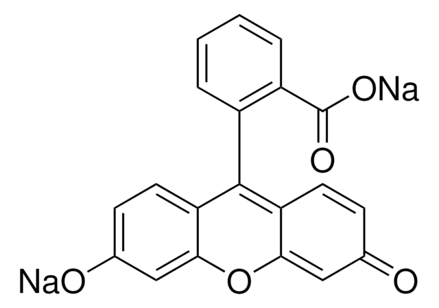 フルオレセイン ナトリウム塩 used as fluorescent tracer