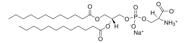 12:0 PS 1,2-dilauroyl-sn-glycero-3-phospho-L-serine (sodium salt), powder