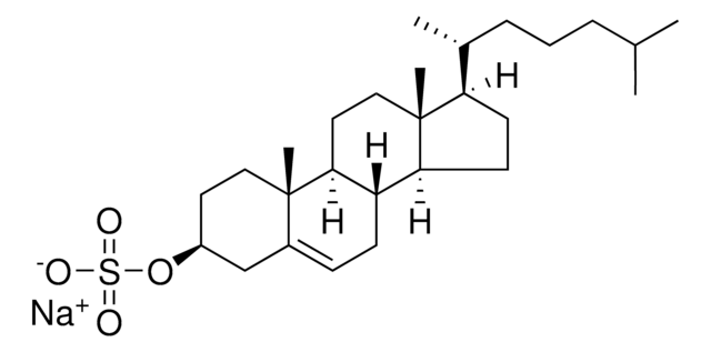 cholesterol sulfate Avanti Polar Lipids 700016P