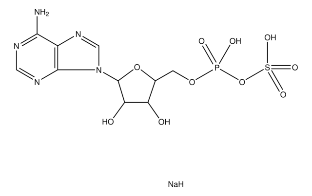 腺苷5&#8242;-磷酸硫酸盐 钠盐 &#8805;85%