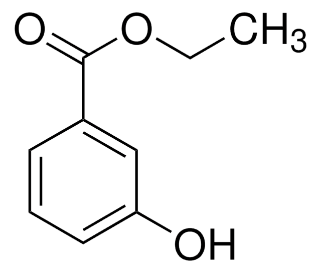 3-Hydroxy-benzoesäure-ethylester 99%