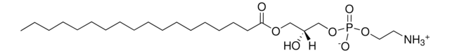 18:0 Lyso PE 1-Stearoyl-2-Hydroxy-sn-Glycero-3-Phosphoethanolamine, powder