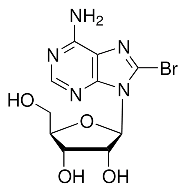 8-Bromoadenosine powder