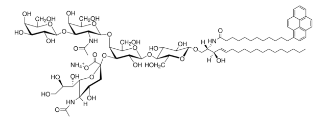 12:0 pyrene GM1 (synthetic) Avanti Research&#8482; - A Croda Brand