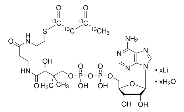 アセトアセチル-13C4コエンザイム A リチウム塩 水和物 99 atom % 13C, 95% (CP)