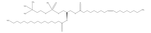 1-油酰-2-棕榈酰-sn-甘油-3-磷酸胆碱 &#8805;98% (GC), &#8805;99% (TLC)