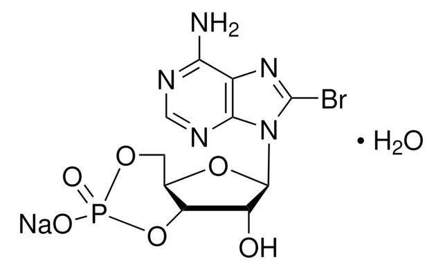 8-ブロモアデノシン 3′,5′-サイクリック一リン酸 ナトリウム塩 一水和物 98%