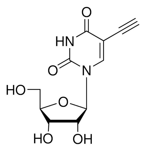 5-乙炔基尿苷 &#8805;95%