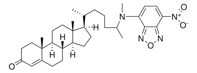 25-NBD cholest-4-en-3-one Avanti Research&#8482; - A Croda Brand