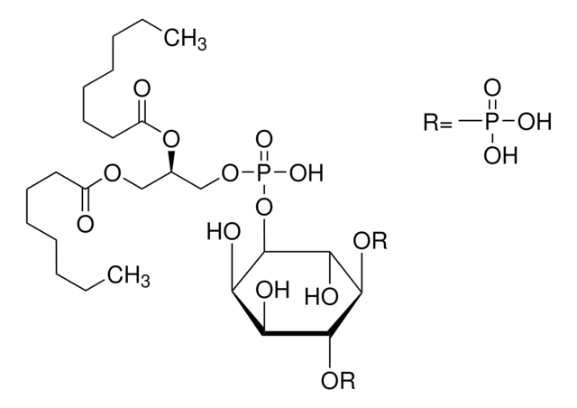 L-&#945;-ホスファチジル-D-myo-イノシトール 4,5-二リン酸, ジオクタノイル