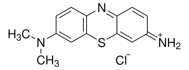 Giemsa stain solution