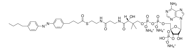 Azo Coenzyme A Avanti Research&#8482; - A Croda Brand, powder