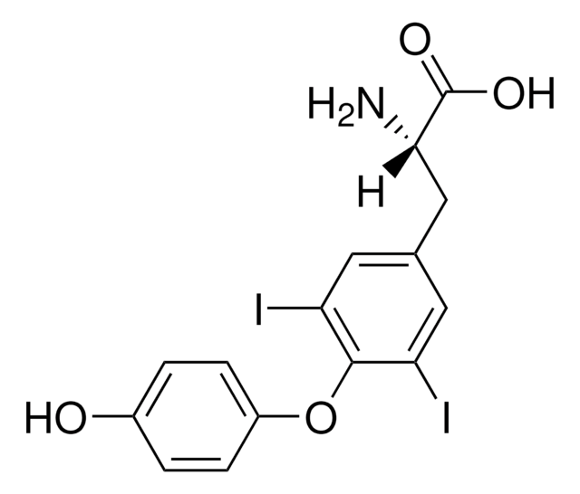 3,5-ジヨード-L-チロニン thyroid hormone analog