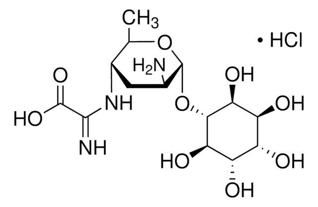 カスガマイシン 塩酸塩 from Streptomyces kasugaensis