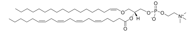 C18(Plasm)-20:4 PC 1-(1Z-octadecenyl)-2-arachidonoyl-sn-glycero-3-phosphocholine, chloroform