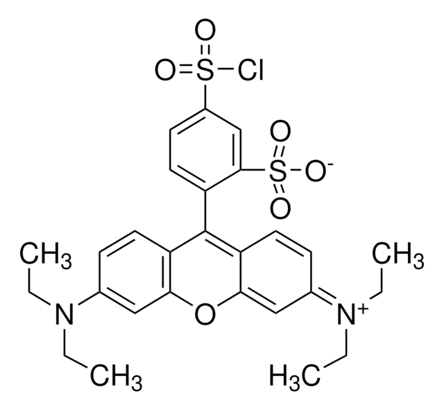 Sulforhodamin-B-Säurechlorid suitable for fluorescence, technical